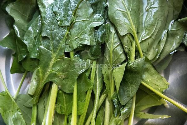 菠菜羊肉汤的做法图解1