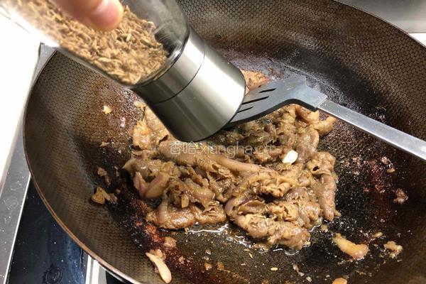 尖椒洋葱孜然炒羊肉的做法图解4
