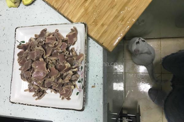 家常炒鸡胗的做法图解3