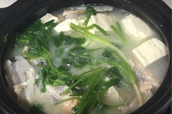 鱼头豆腐汤的做法图解6