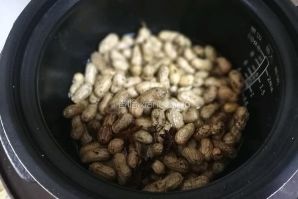 盐水花生的做法图解4