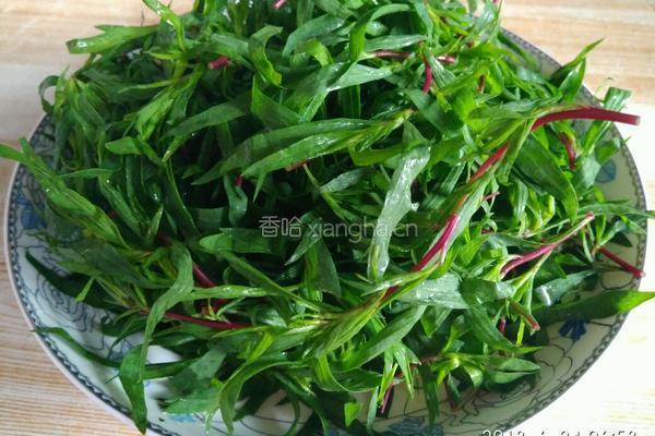 蒸菜（扫帚苗）的做法图解1