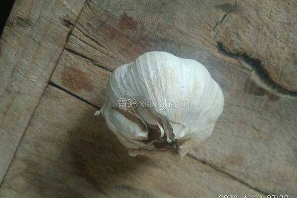 蒸菜（扫帚苗）的做法图解7