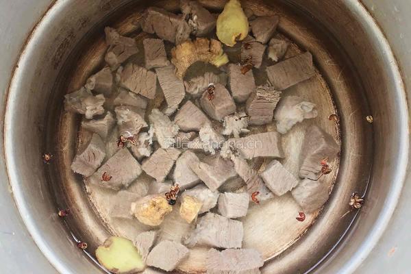清炖牛肉汤的做法图解4