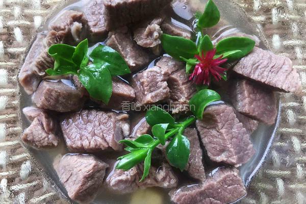 清炖牛肉汤的做法图解5