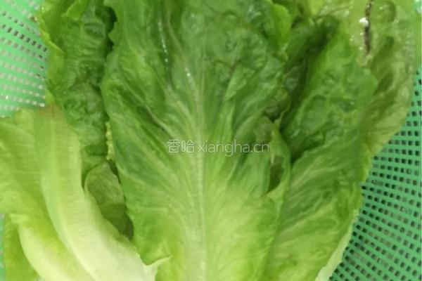 辣味 河粉的做法图解5