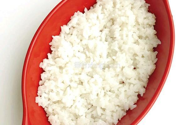 番茄鸡肉芝士煸饭的做法图解15