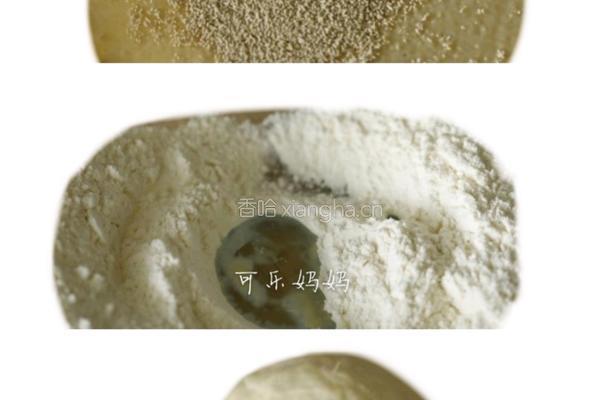 土耳其烤饼的做法图解1
