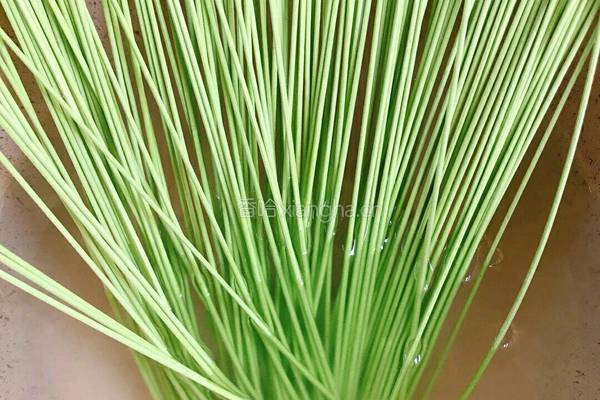 番茄肉酱菠菜面教学的做法图解7