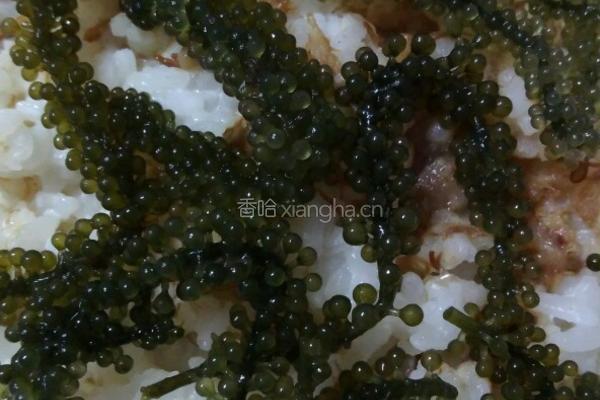 奶油海葡萄的做法图解8