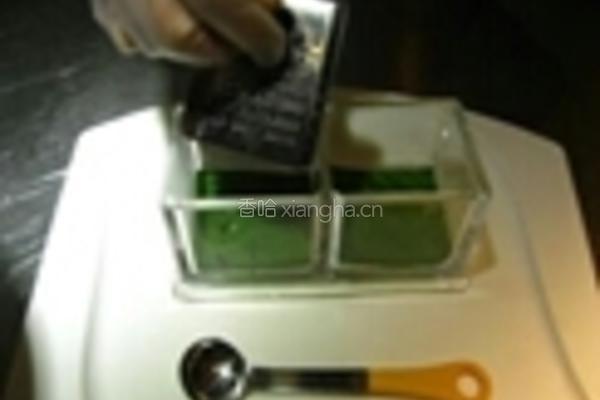 黑松露野生牛肝菌烧牛蛙的做法图解4