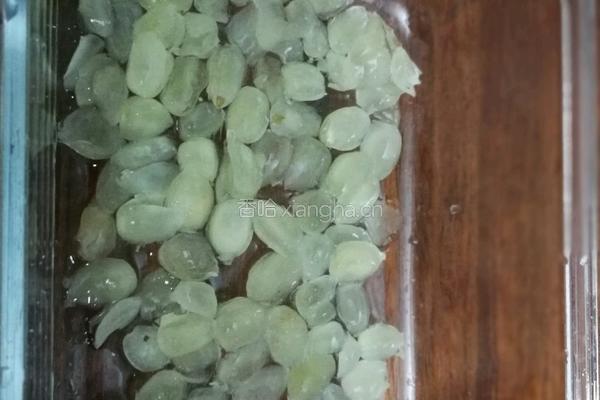 牛奶炖桃胶的做法图解3