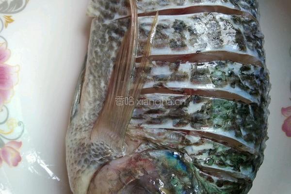 红烧鱼的做法图解1