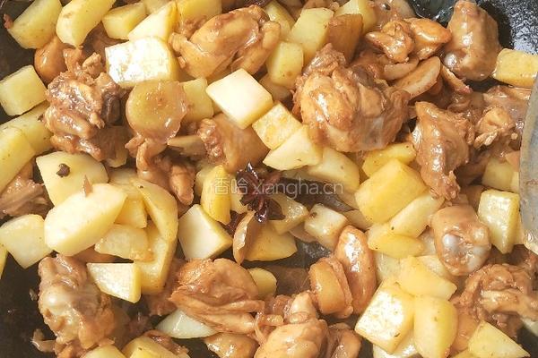 土豆炒鸡肉的做法图解13