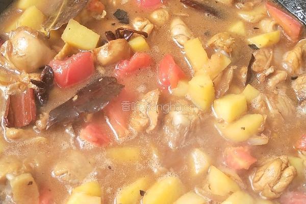 土豆炒鸡肉的做法图解14