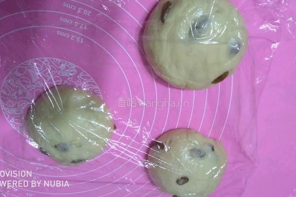 奶油提子土司的做法图解7