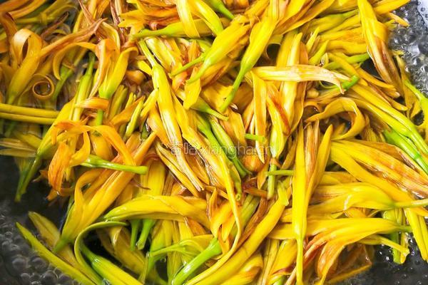 炝炒金针菜的做法图解6