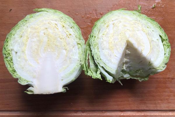 炝炒牛心菜的做法图解3