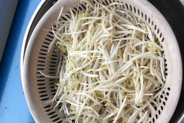 清炒豆芽的做法图解1