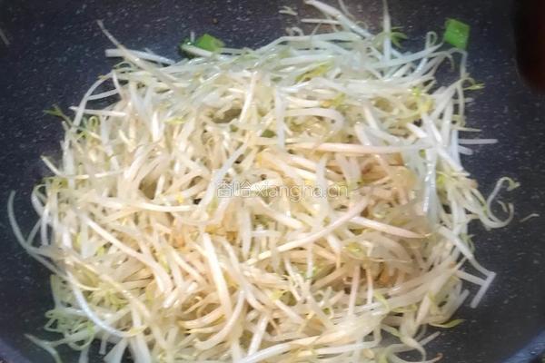 清炒豆芽的做法图解4