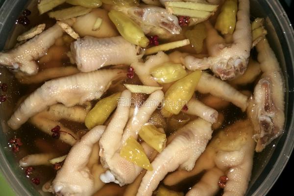 泡椒凤爪的做法图解4