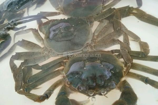 红烧六月黄的做法图解1