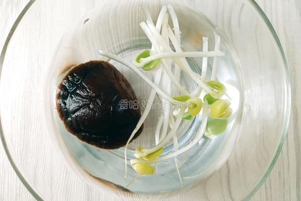 纤体食谱 宝藏冬瓜汤 补充矿物质的做法图解3