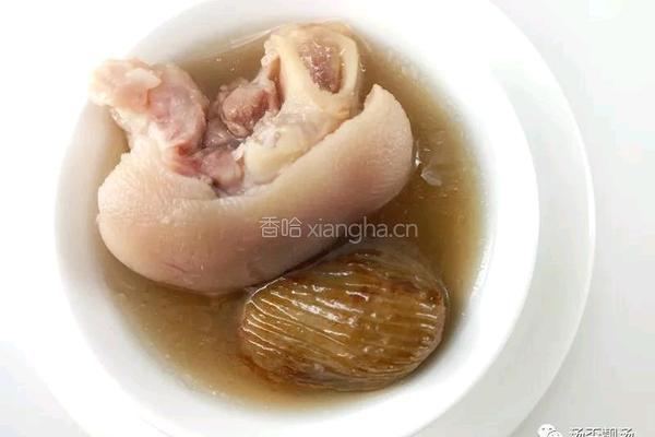 怀孕汤谱 麦芽蜜枣猪蹄汤 香甜又消食的做法图解6