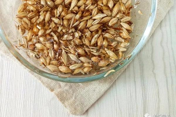 怀孕汤谱 麦芽蜜枣猪蹄汤 香甜又消食的做法图解2