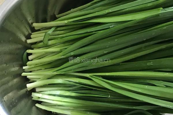 韭菜土豆丝饼的做法图解4