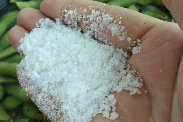 简单盐水烀毛豆的做法图解4