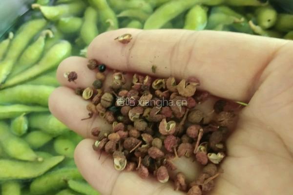 简单盐水烀毛豆的做法图解3