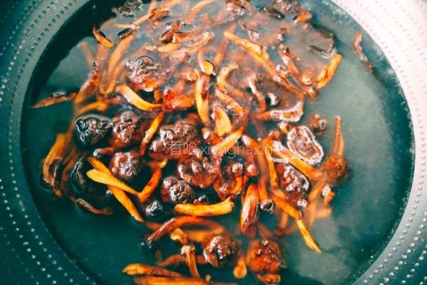 柳树蘑菇烧鸡肉(加板粟版)的做法图解10