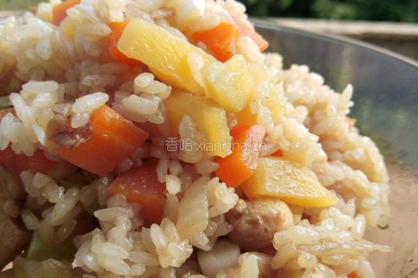 鸡肉土豆闷饭