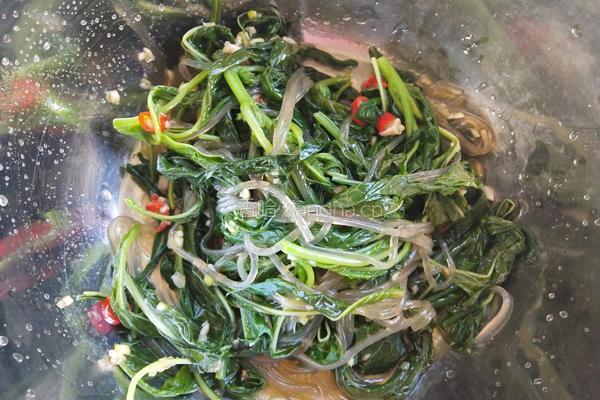 苋菜拌粉条的做法图解11