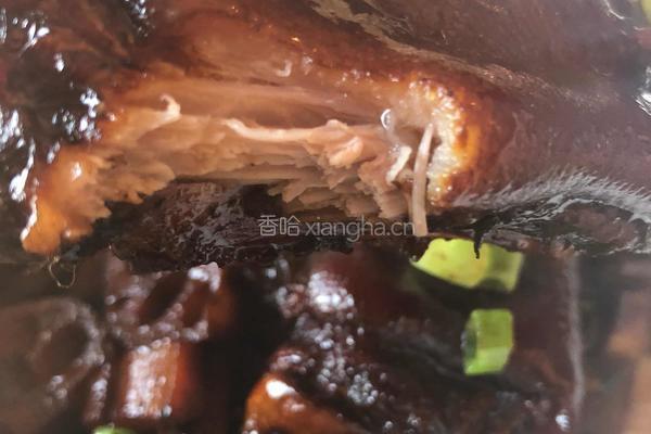 莲藕猪脚的做法图解17