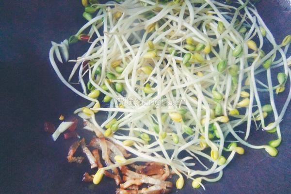 炒芽菜的做法图解6