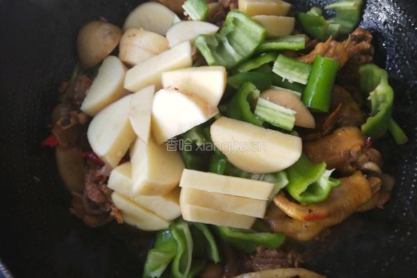 土豆烧鸡肉的做法图解8