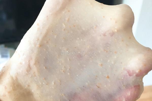 海苔芝麻肉松全麦包的做法图解10