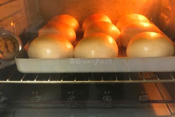 海苔芝麻肉松全麦包的做法图解24