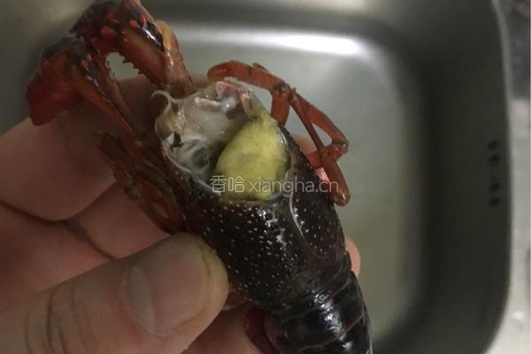 小龙虾处理方法