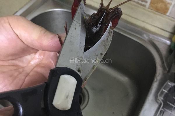 小龙虾处理方法的做法图解4