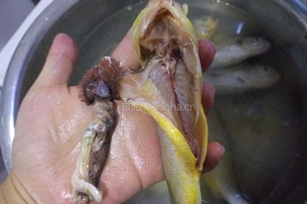 香煎黄花鱼的做法图解4