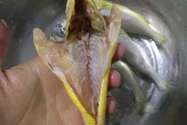 香煎黄花鱼的做法图解5