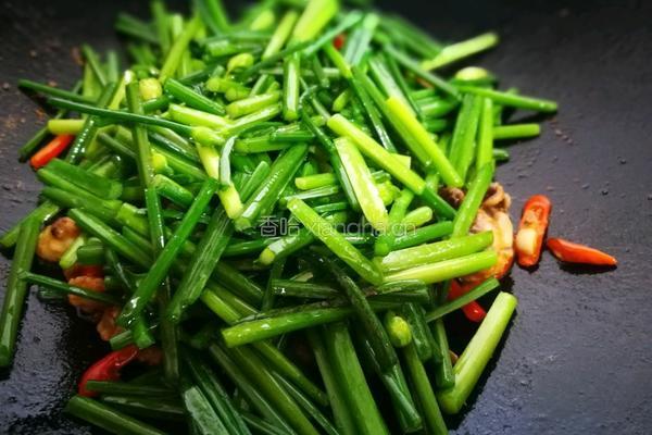 韭苔爆炒八爪鱼的做法图解18