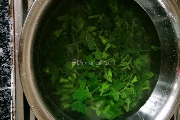 凉拌南瓜尖的做法图解6