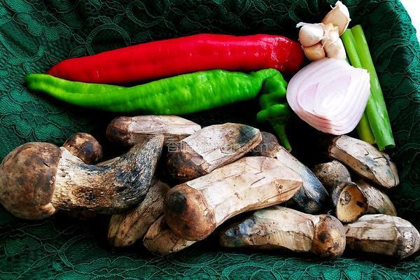 牛肝菌炒肉片的做法图解2