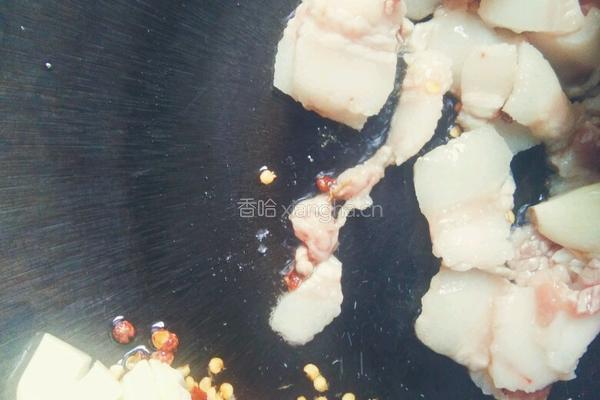 新鲜肉炖干萝卜片的做法图解5