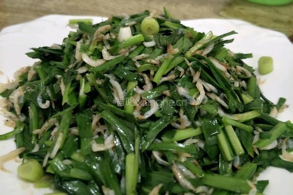 韭菜炒虾皮的做法图解3