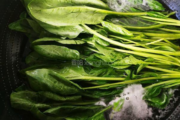 菠菜拌双菌的做法图解9